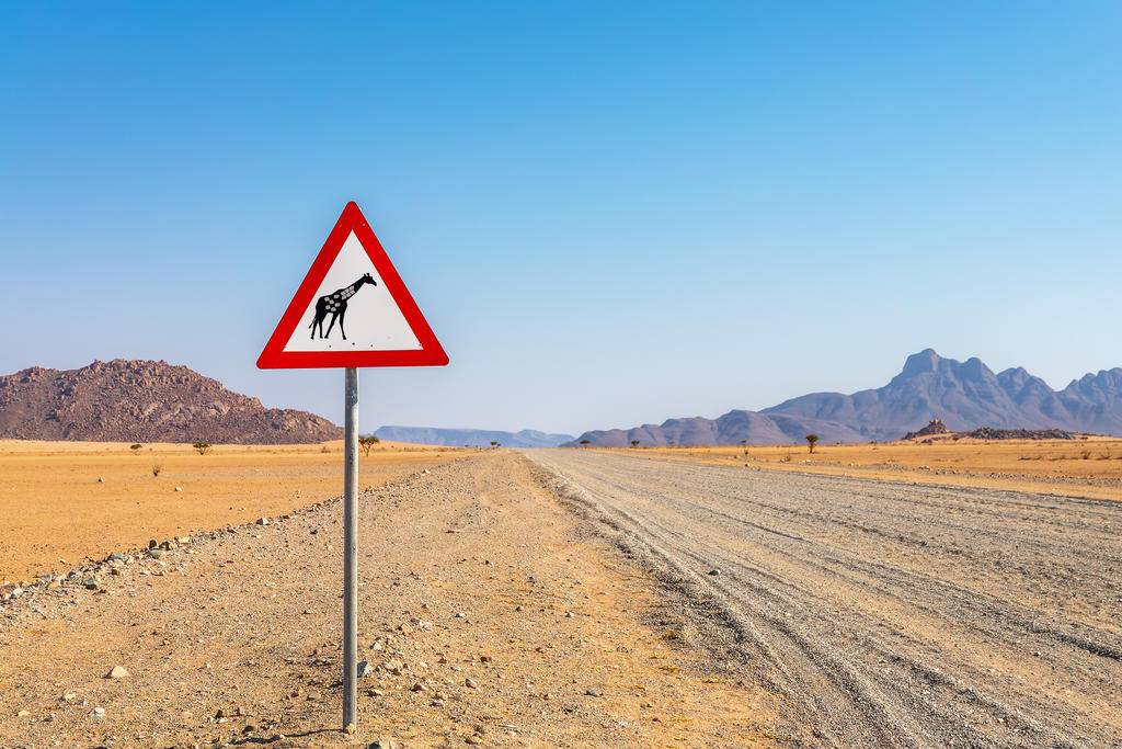 Namibie - Botswana : road trip en Afrique australe-Image