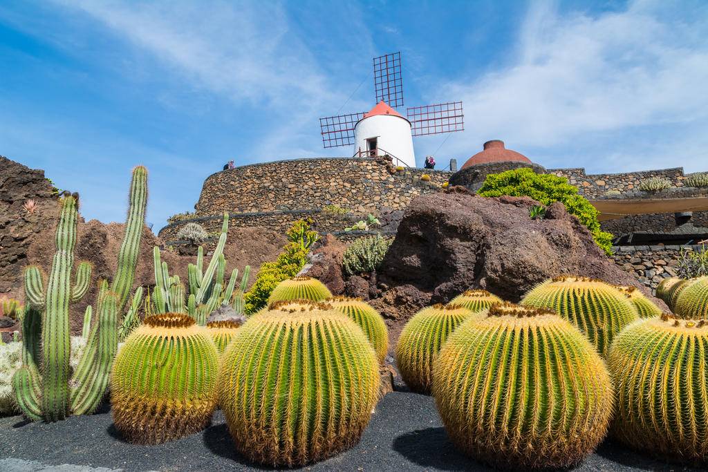 Lanzarote, le joyau des Canaries -Image