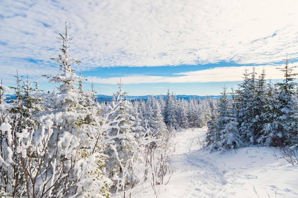 Road Trip hivernal au Québec-Image