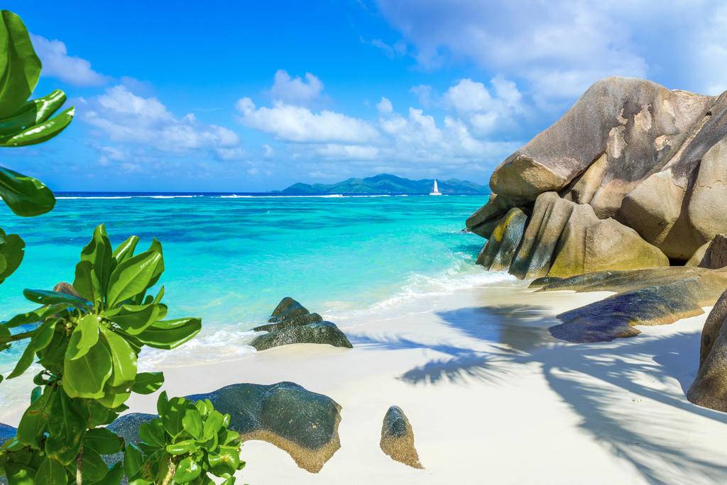 Quatuor irrésistible des Seychelles-Image