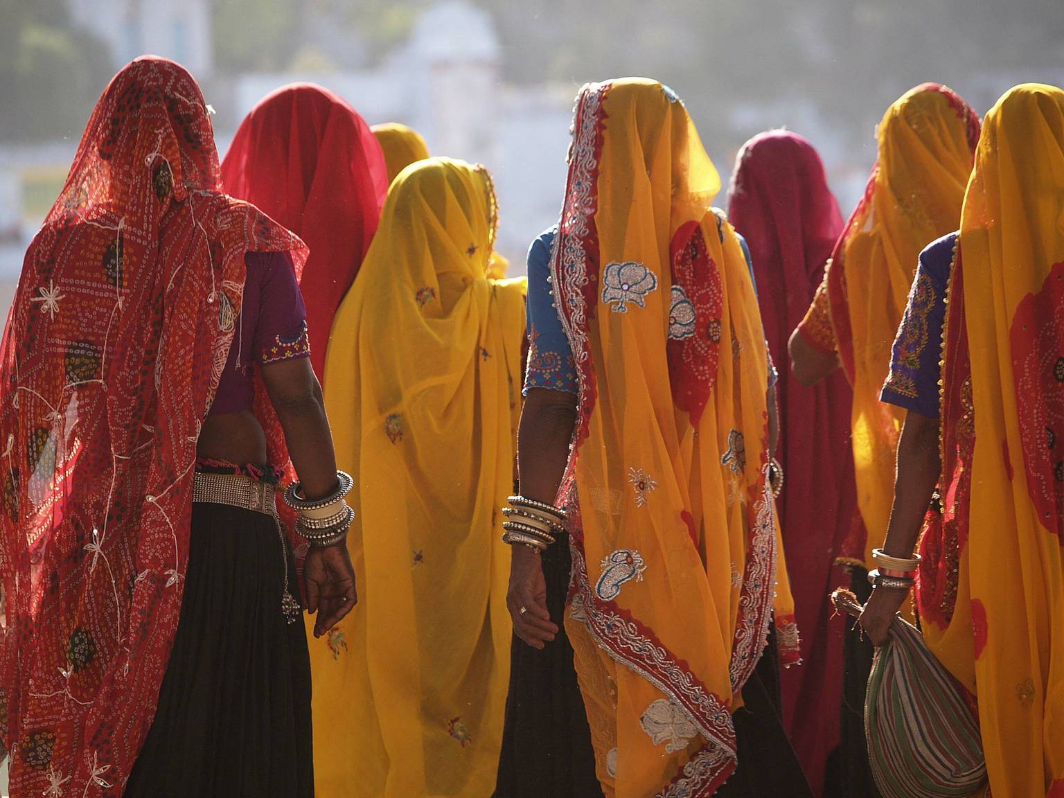 Le Rajasthan entre amis -Image