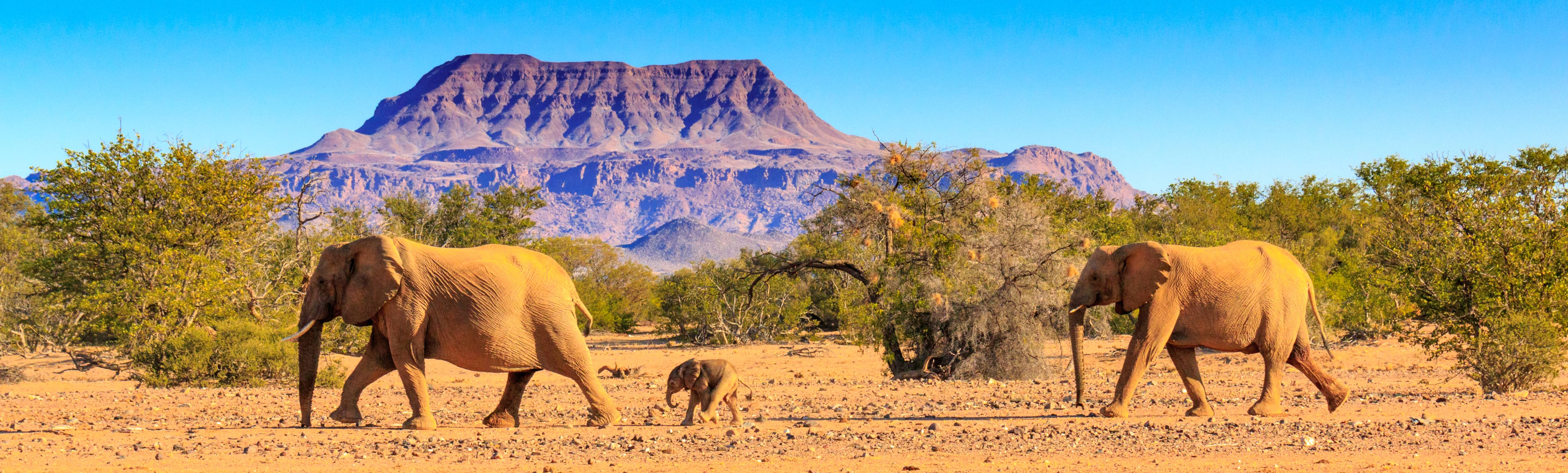Namibie, des chutes Epupa aux déserts majestueux-Image