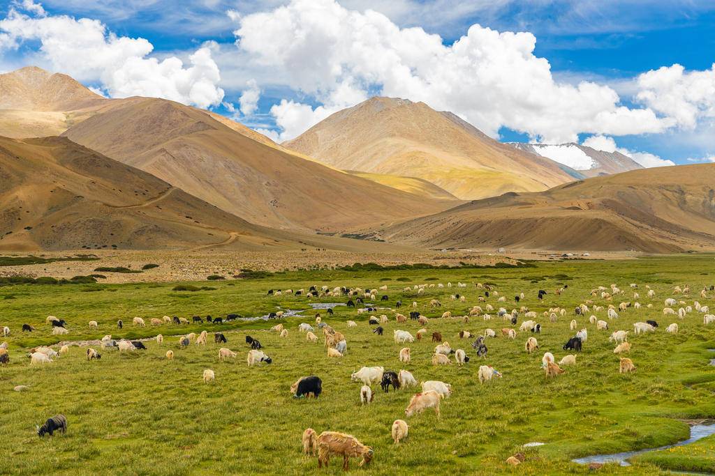 Ladakh, balade tranquille sur le toit du monde-Image