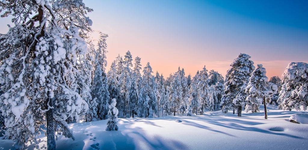 L'authentique magie de la Laponie finlandaise-Image