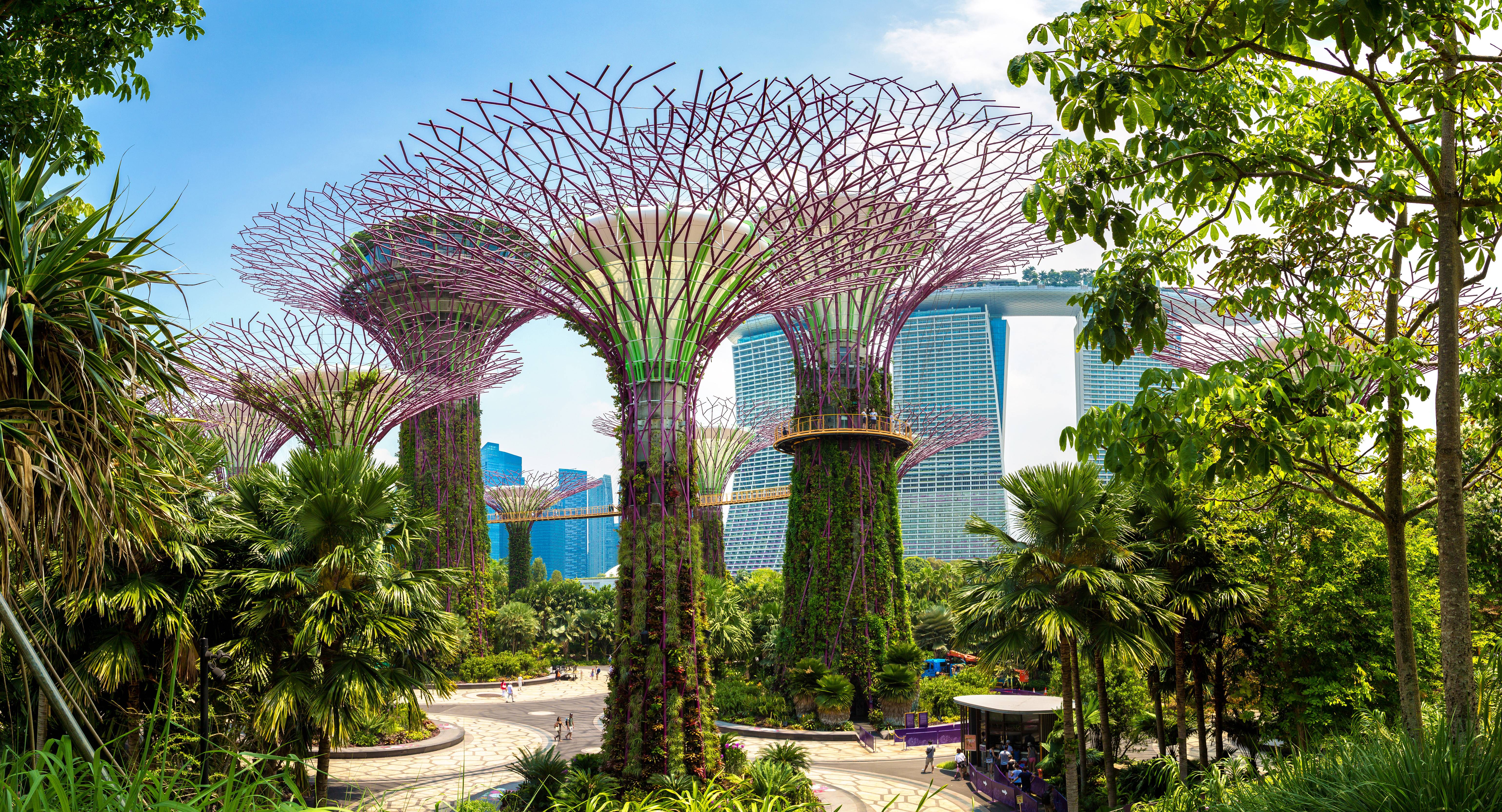 Singapour et Bali, des gratte-ciels aux rizières-Image