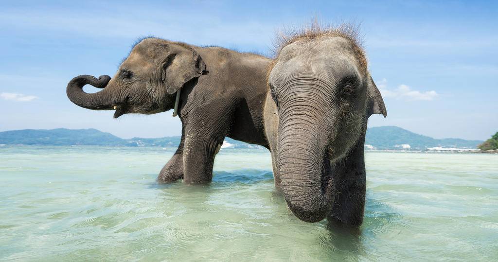 Escapade à Havelock, îles Andaman-Image