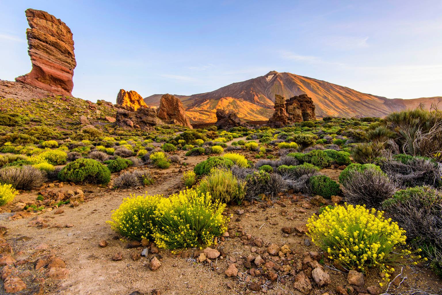Sésame pour Tenerife-Image