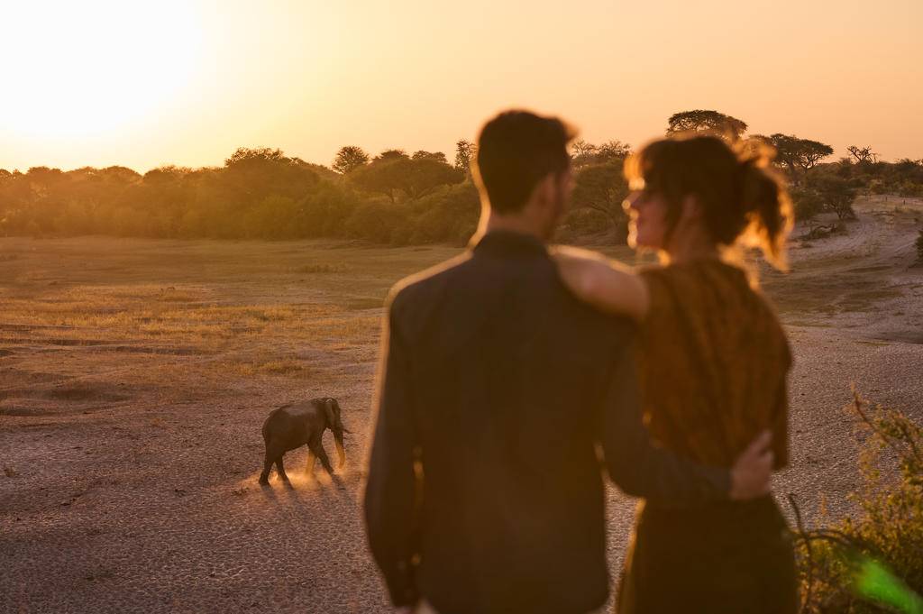 Romance botswanaise, un safari au cœur de l'Afrique-Image