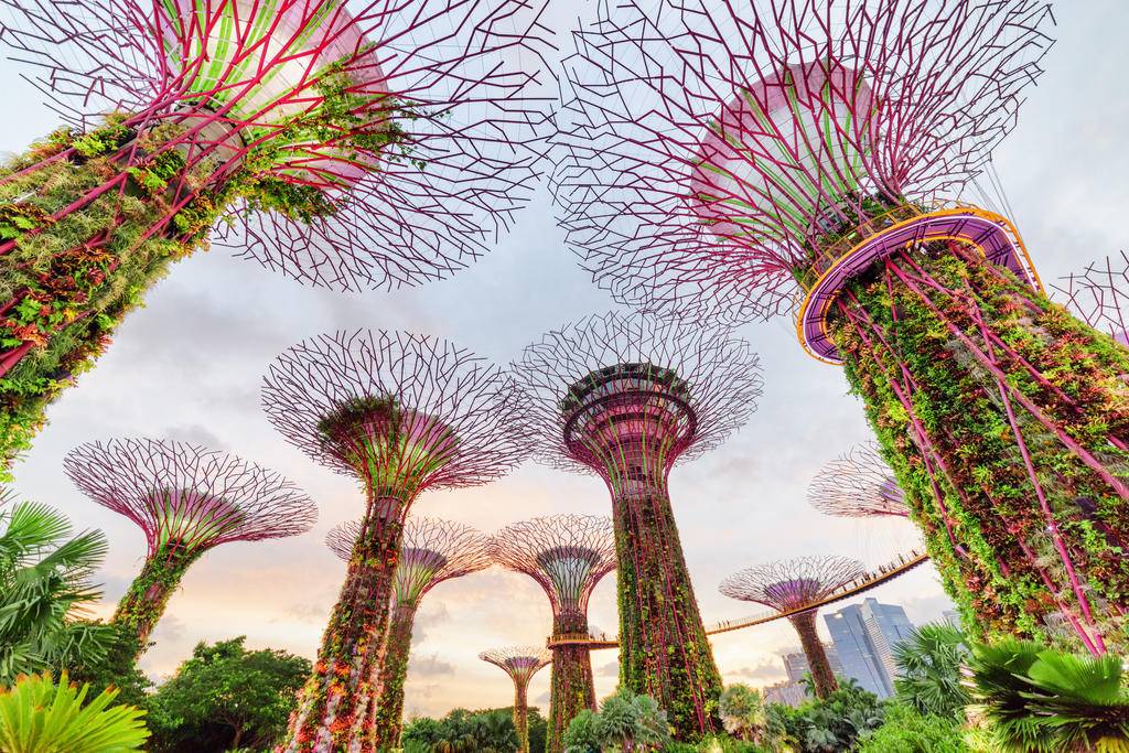 Singapour et les paysages calédoniens-Image