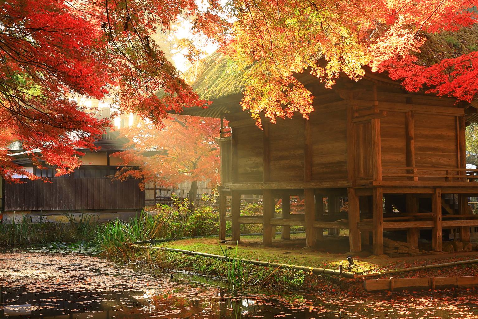 Japon confidentiel, de Hokkaido au Tohoku-Image
