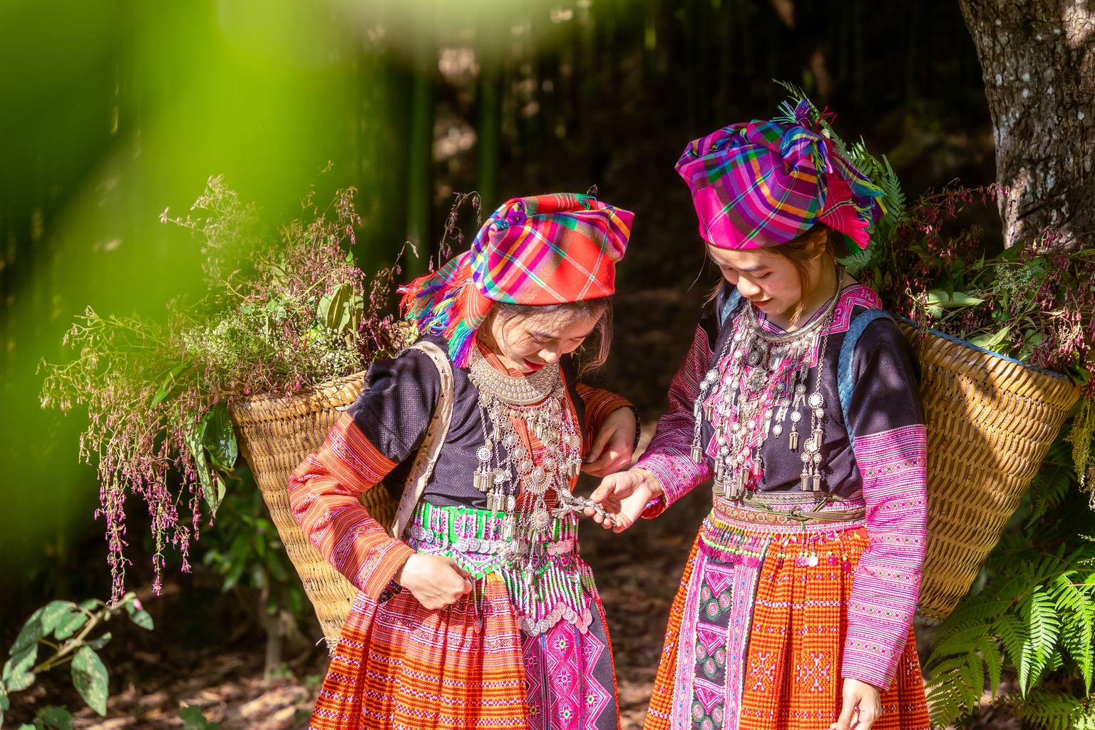 Tout le Vietnam-Image