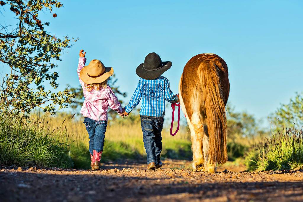 Aventures australiennes en famille-Image