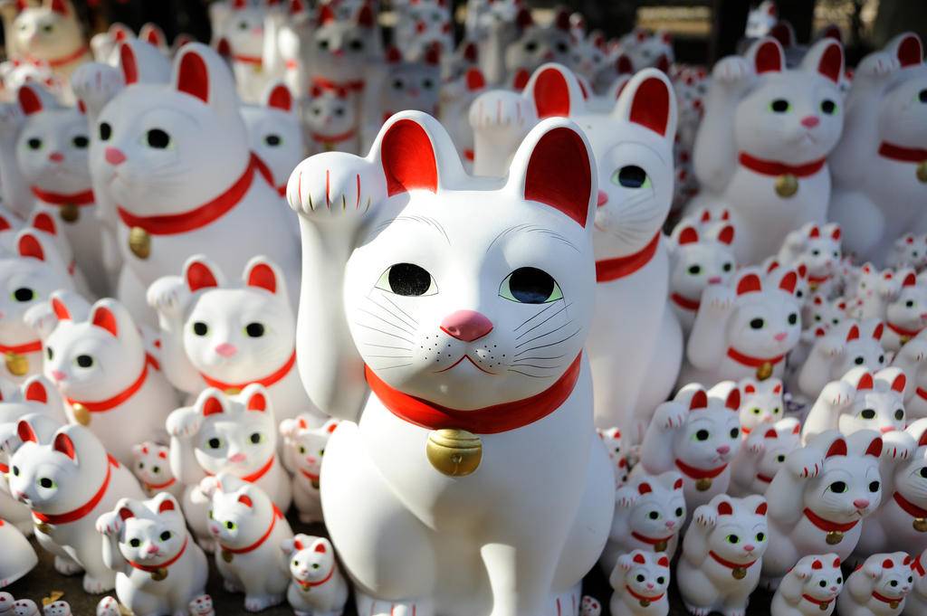 Le Japon insolite en famille-Image