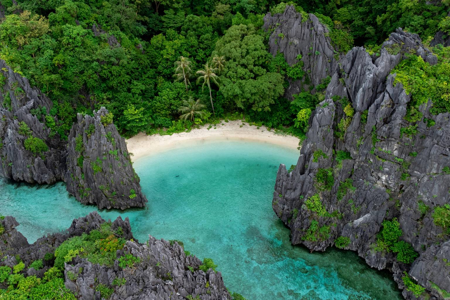 Trio philippin : Palawan, Bohol et Coron-Image