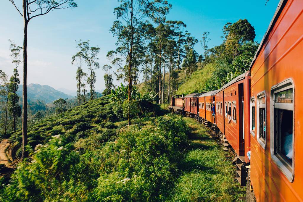 Petit tour estival au Sri Lanka-Image