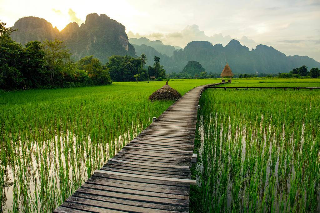 Tout le Laos-Image