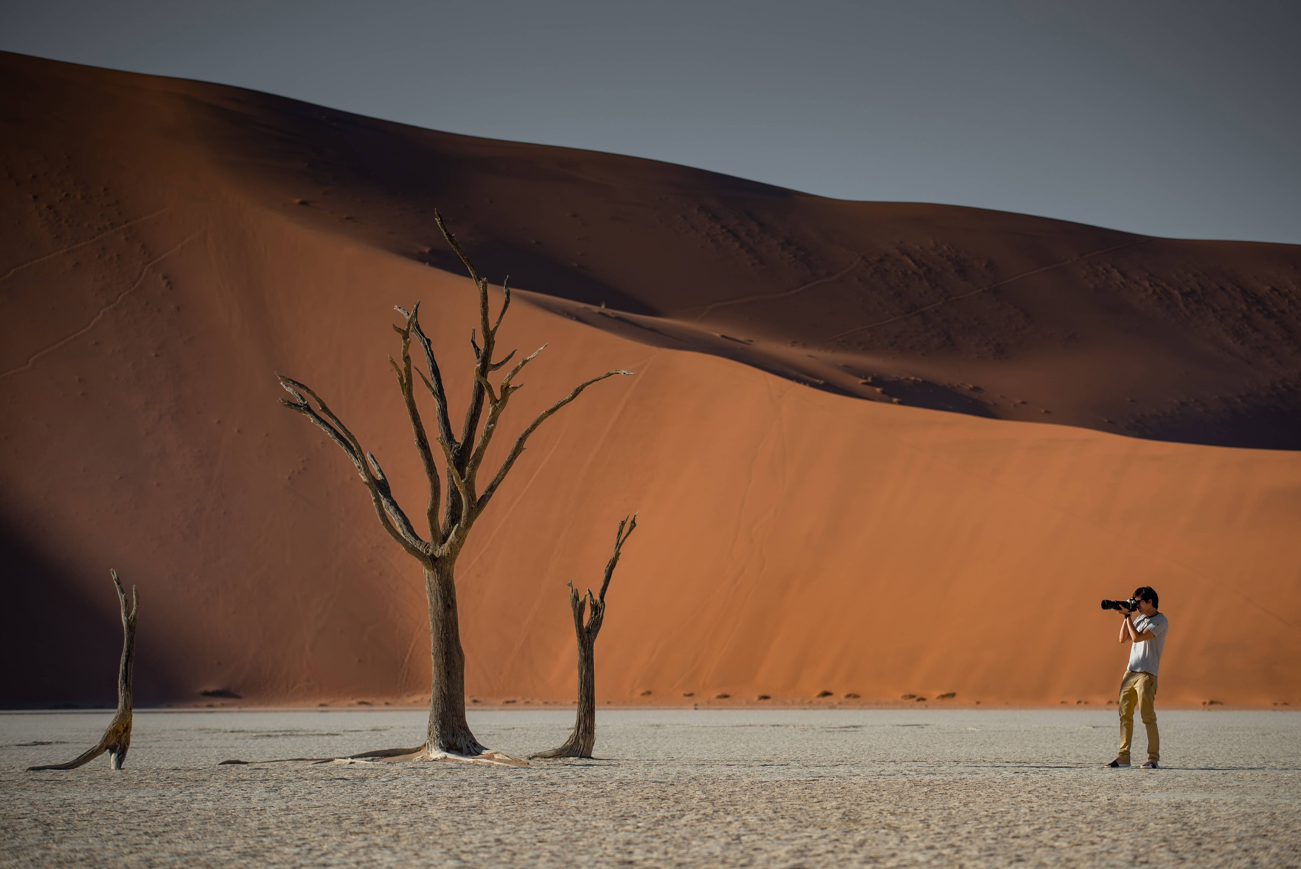 Désert millénaire et côte sauvage-Image