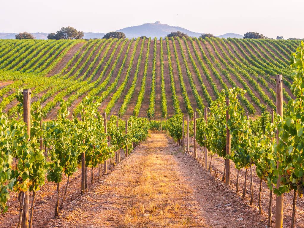 Lumières d'Alentejo et nuances de Lisbonne, une expérience exclusive-Image