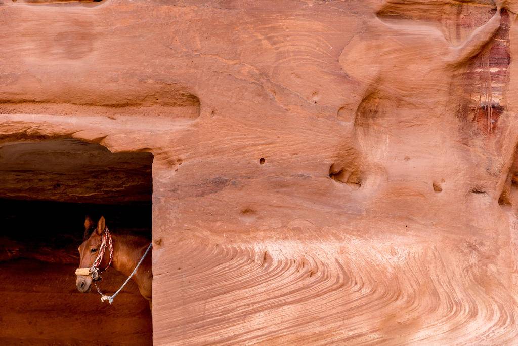 Echappée jordanienne-Image