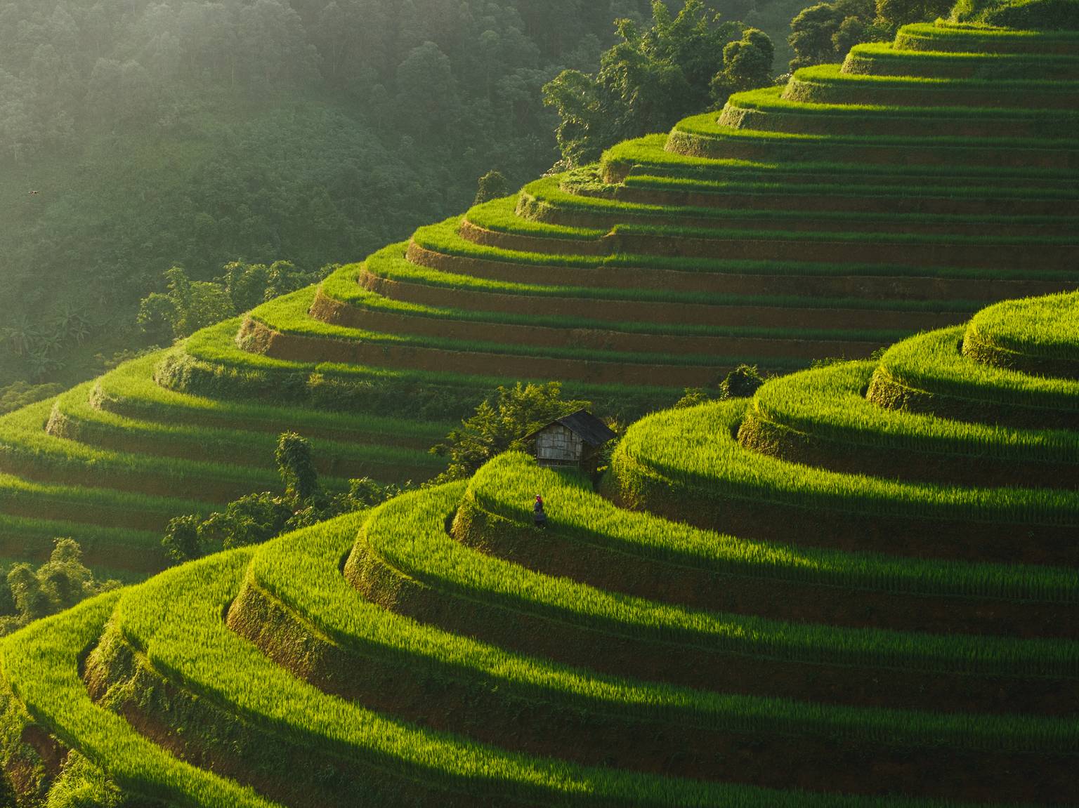 Vietnam en été, au fil des rizières et des marchés-Image