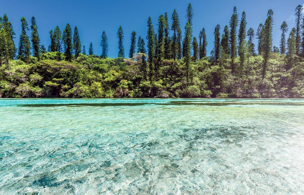 Le Trio Calédonien : Grande Terre, Lifou, île des Pins-Image