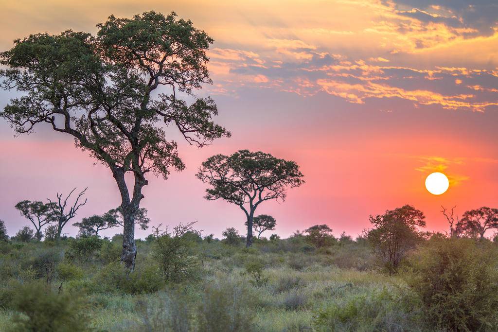 Safari et plages idylliques du Mozambique-Image
