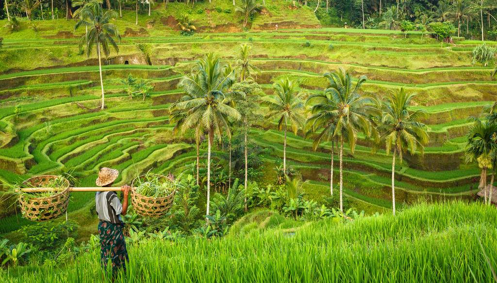 Combiné Bali, Australie et Fidji-Image