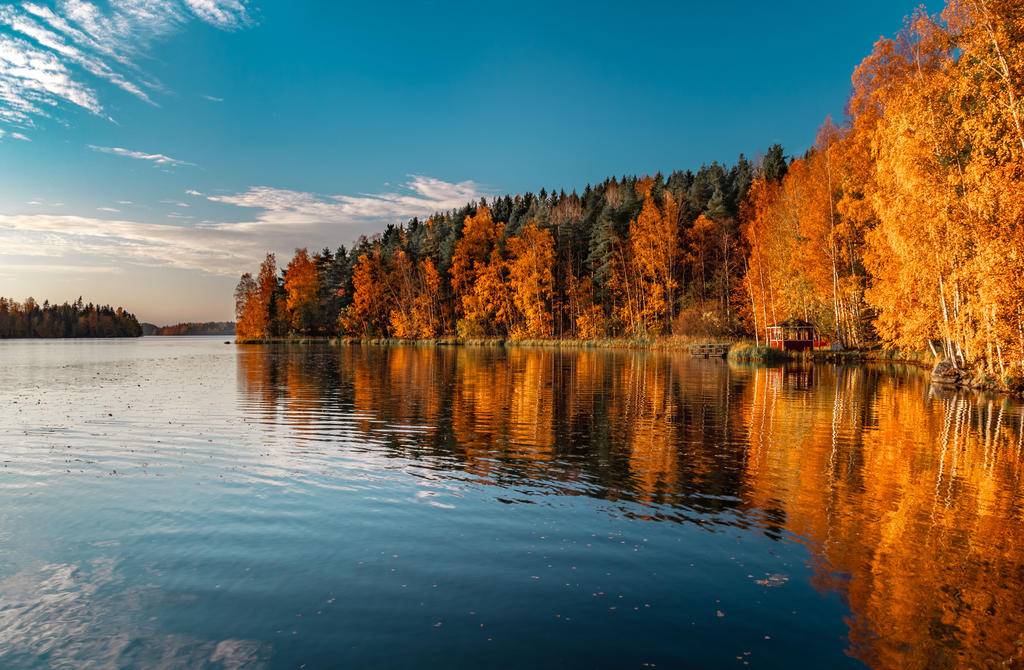 Ruska en Laponie finlandaise : un automne éblouissant-Image