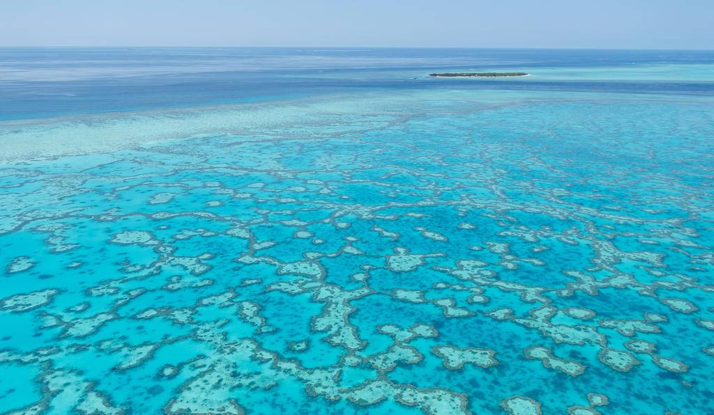 Australie & Nouvelle-Zélande, immersion océanienne-Image
