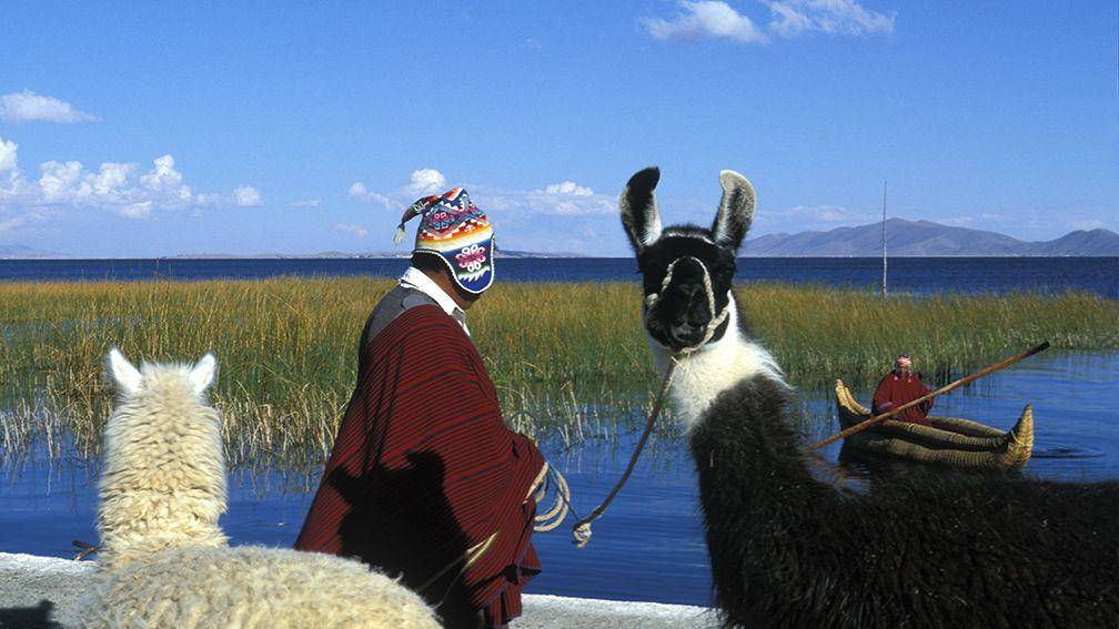 La Bolivie à sa guise avec Villamar-Image