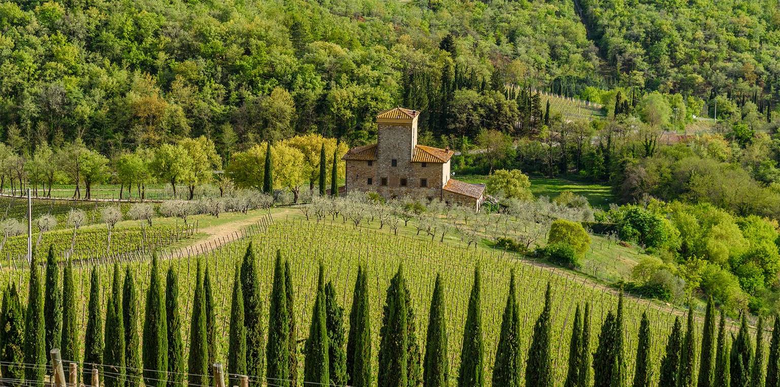 10 destinations rêvées pour un voyage œnotourisme
