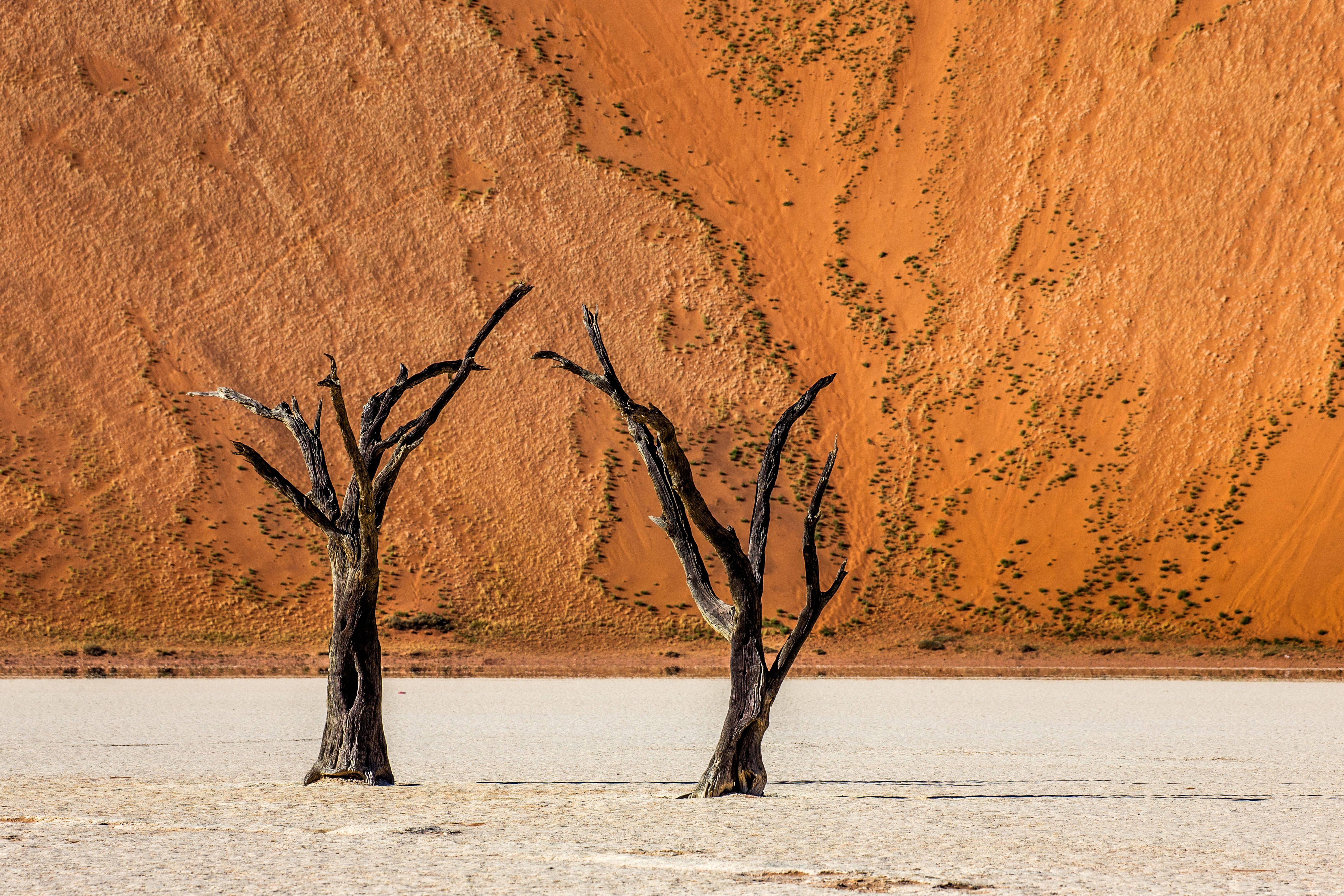 6 horizons loin des foules