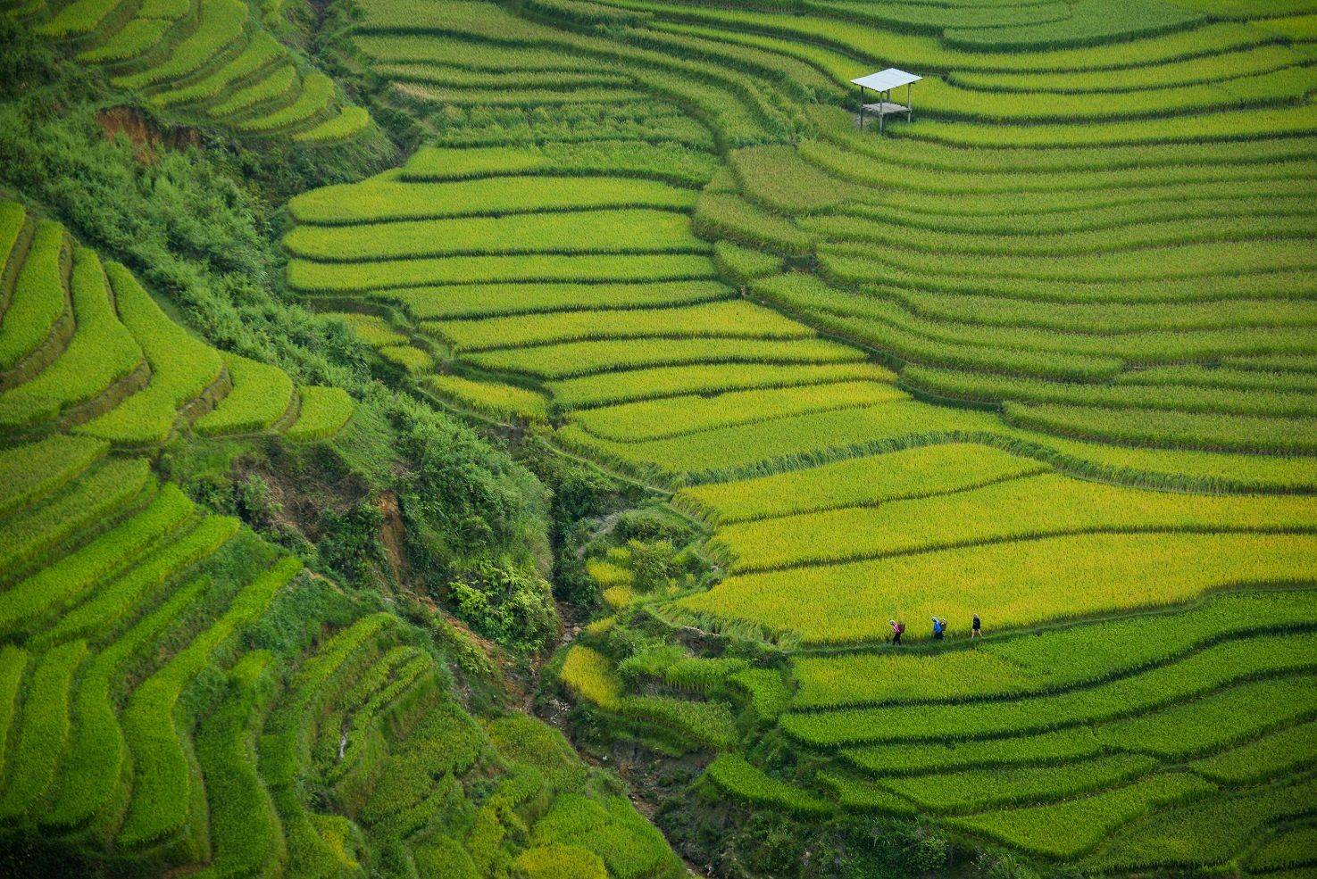 Aventure et randonnée Vietnam