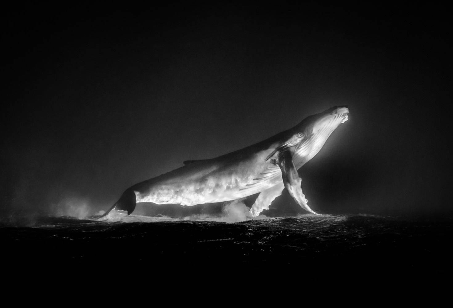 Exposition Ocean Black and White