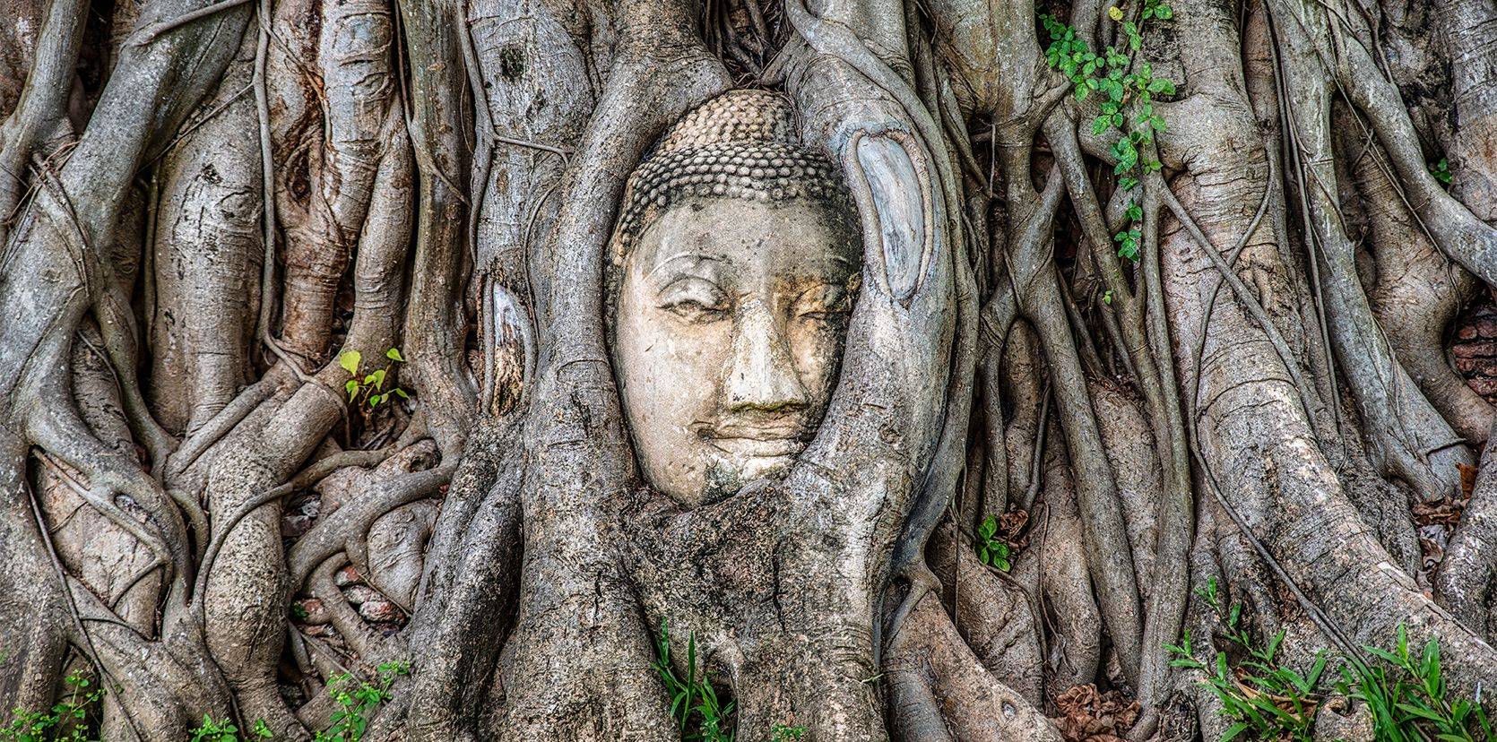3 bonnes raisons de découvrir la Thaïlande