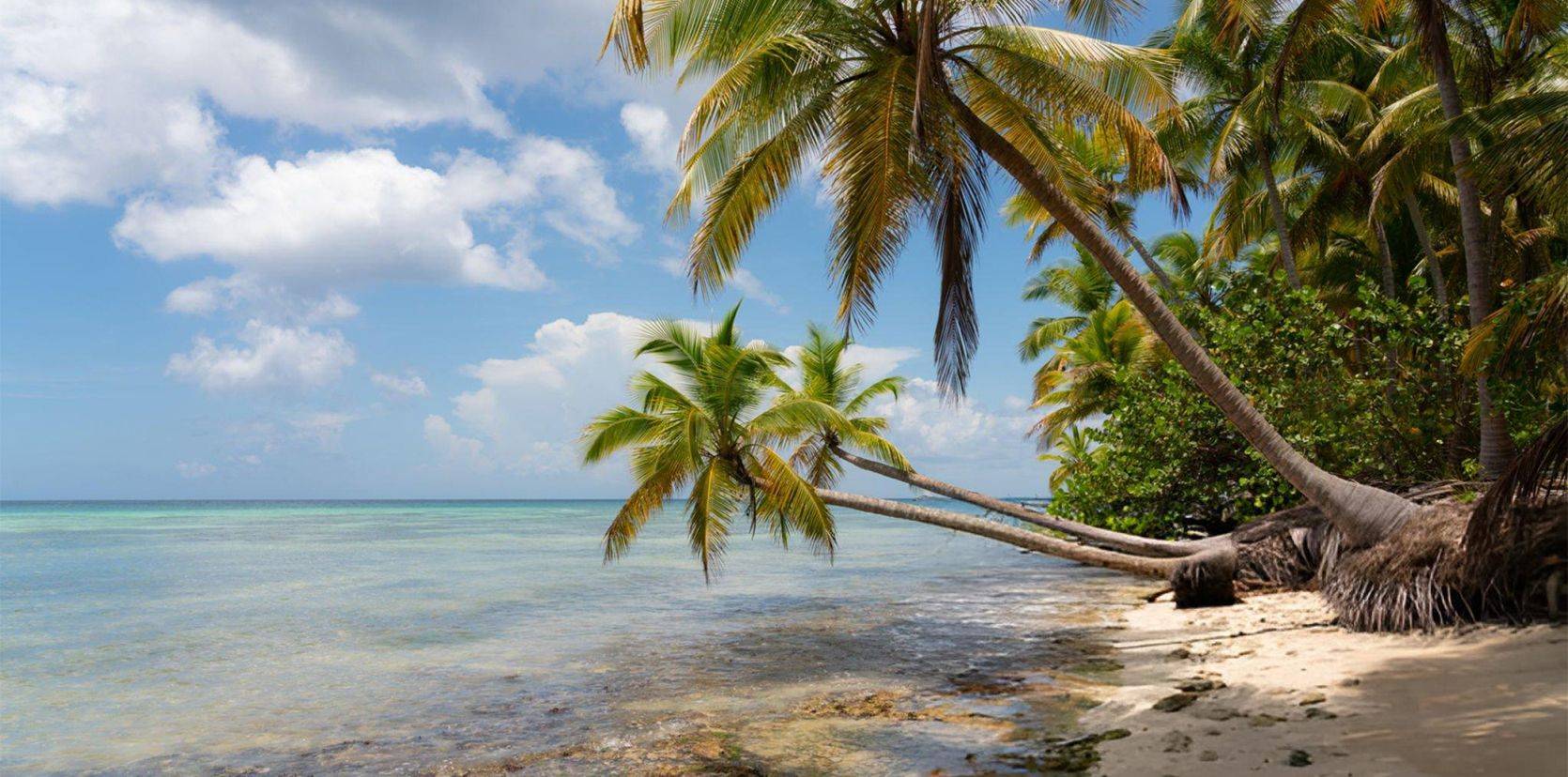 Carnet de voyage aux Îles Cook