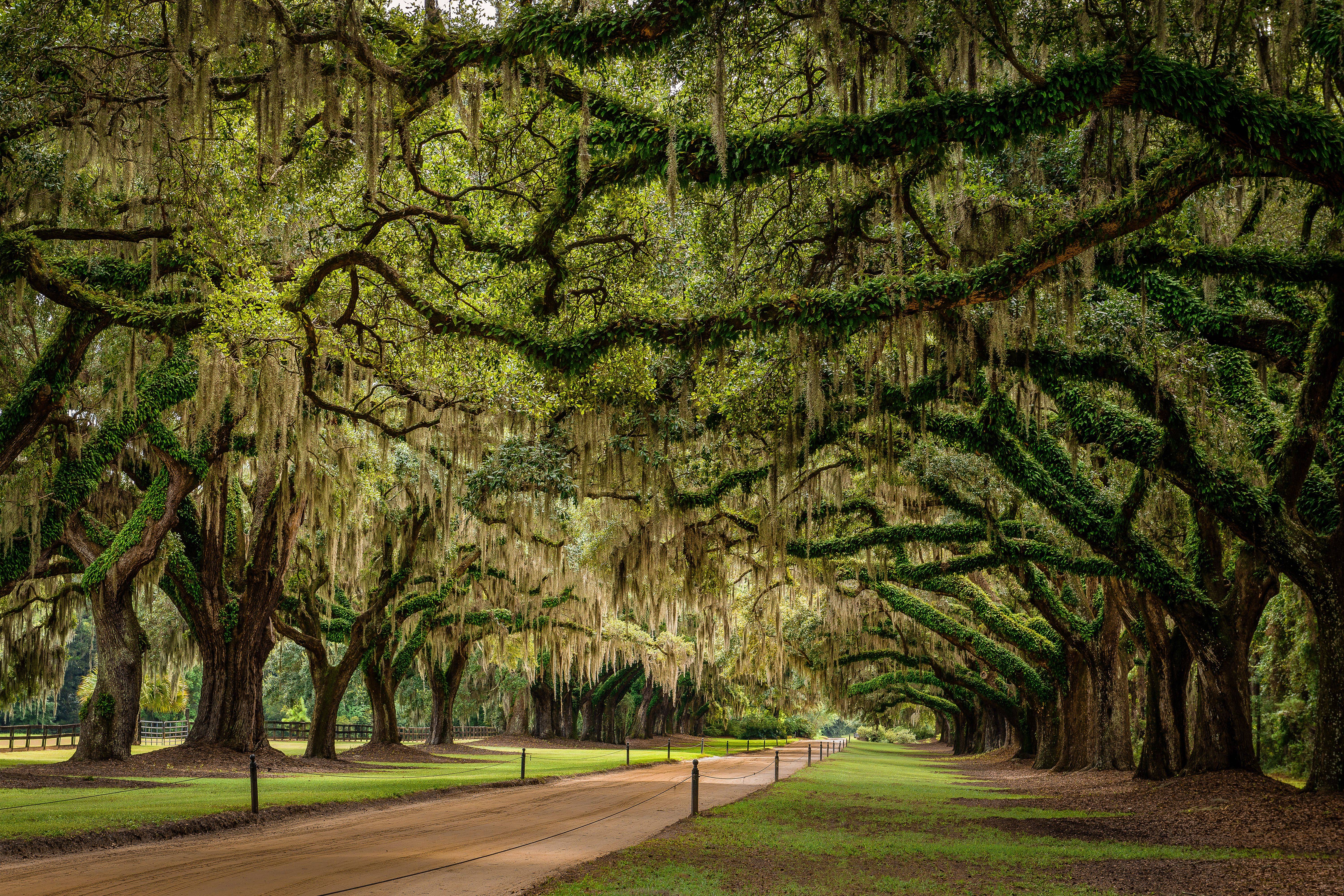 Envolée vers le Vieux Sud