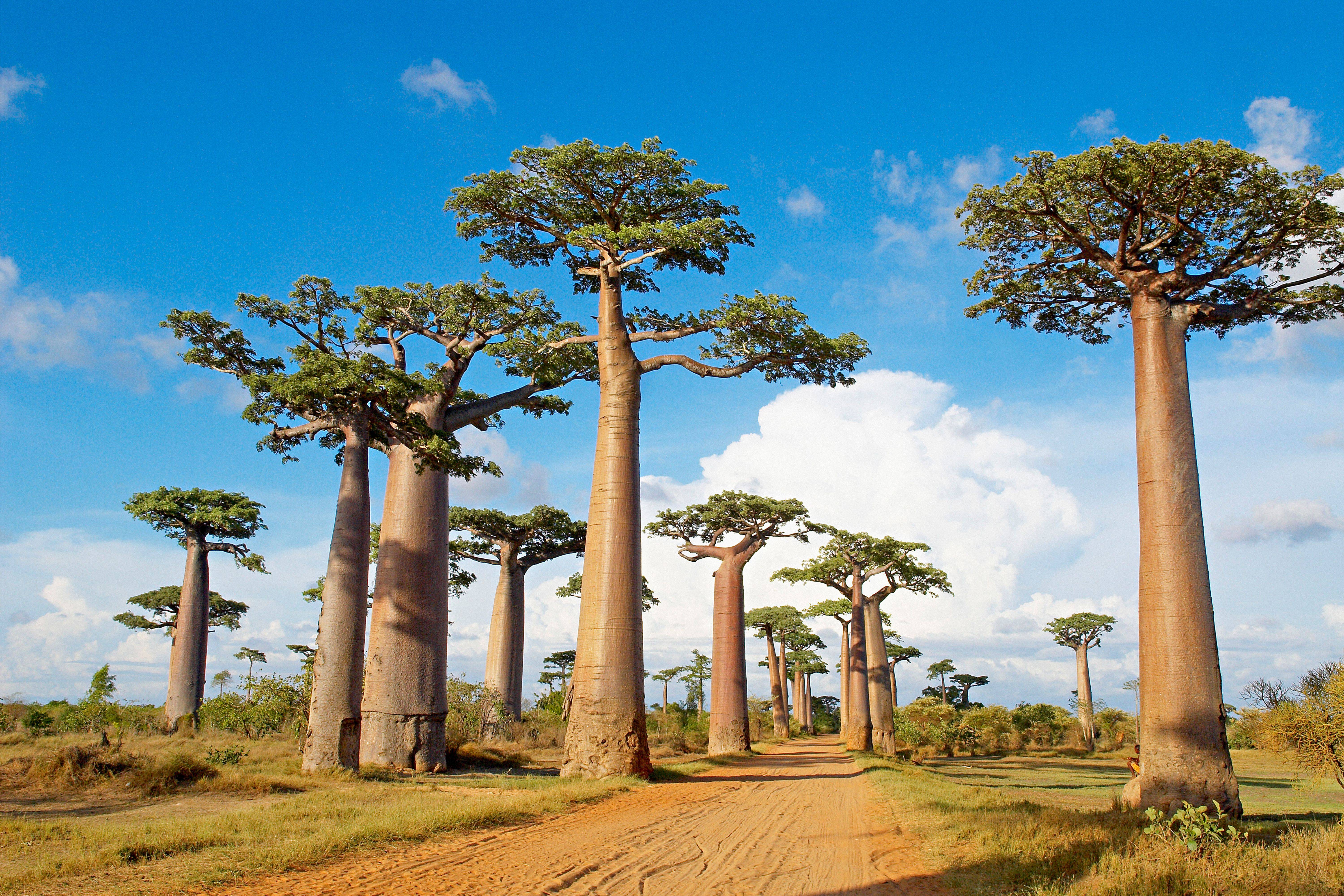 Belles îles en mer, loin des classiques