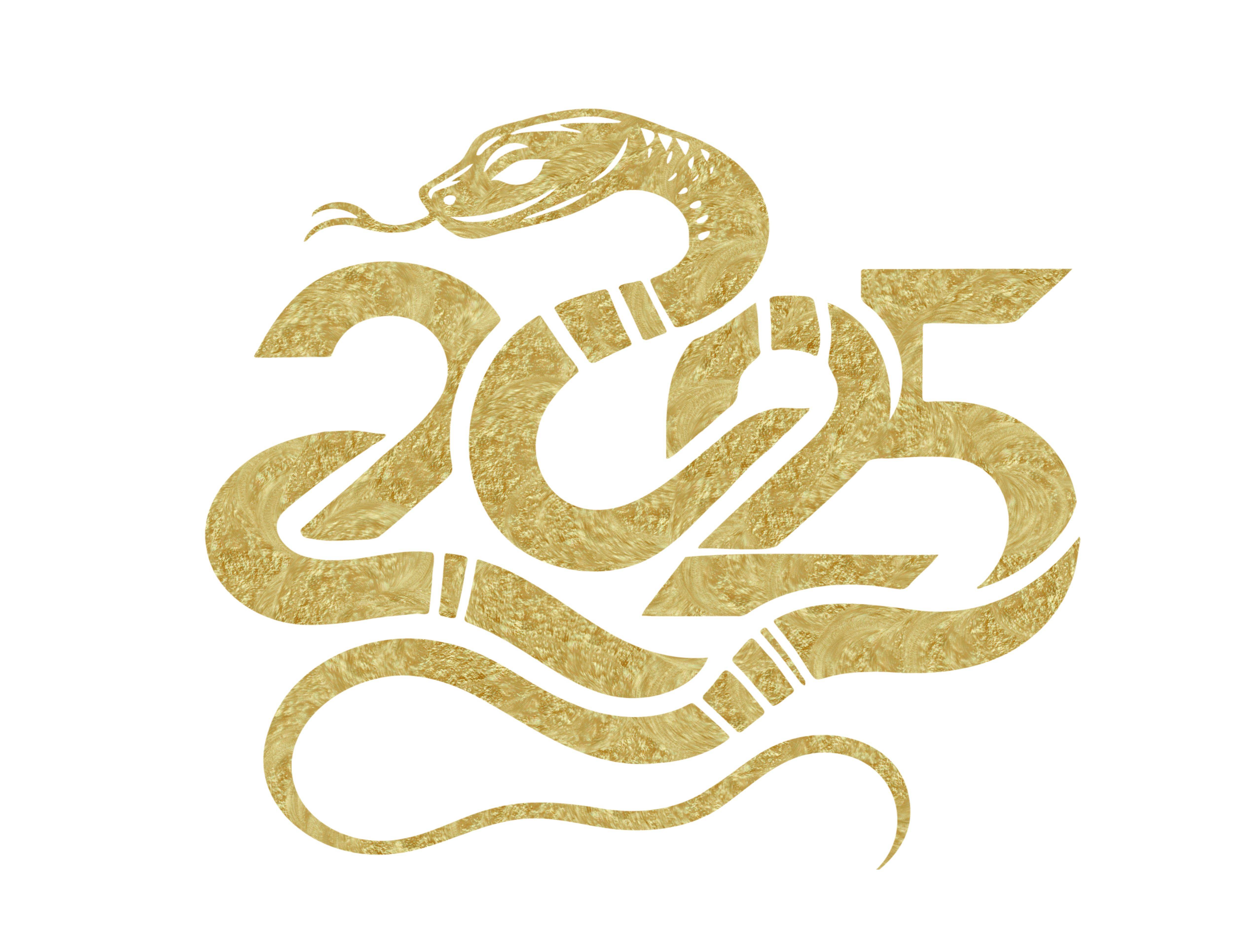 Nouvel an chinois, année du Serpent de Bois