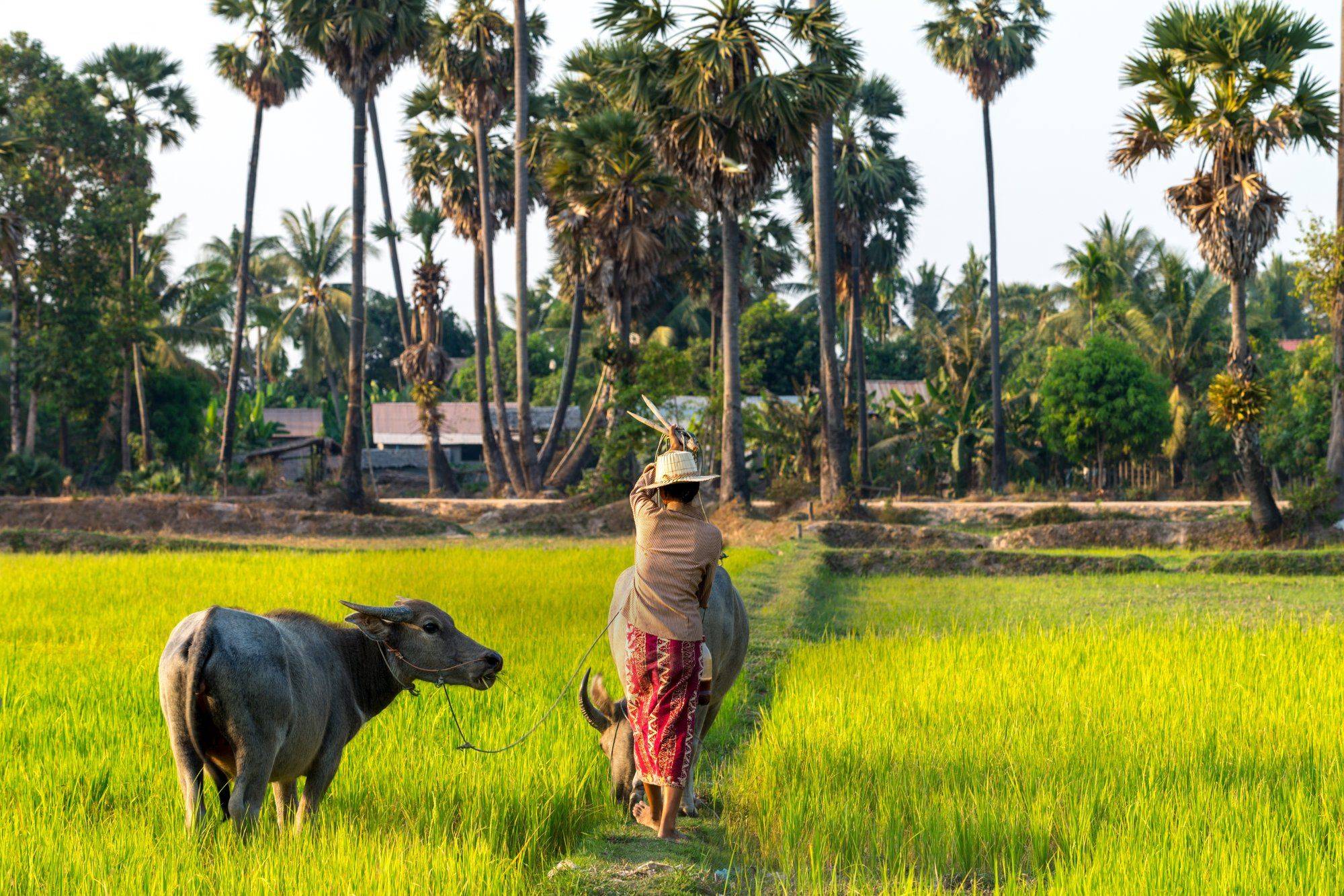 Guide de voyage Cambodge : que voir, que faire ?