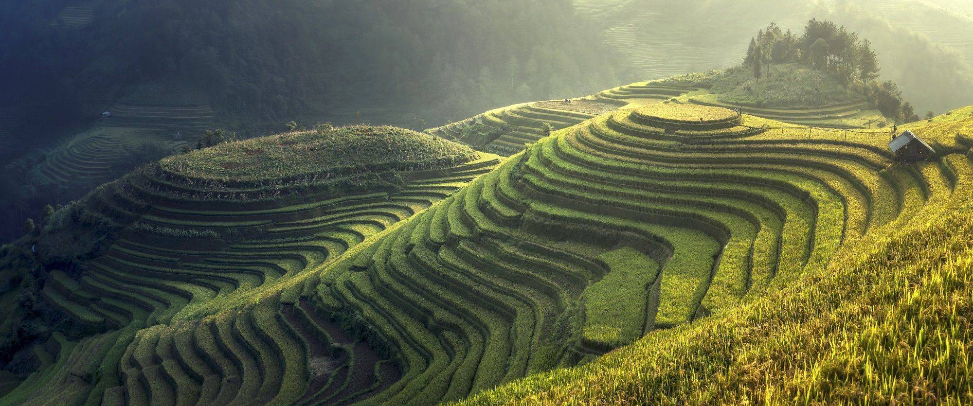 Circuit accompagné Vietnam