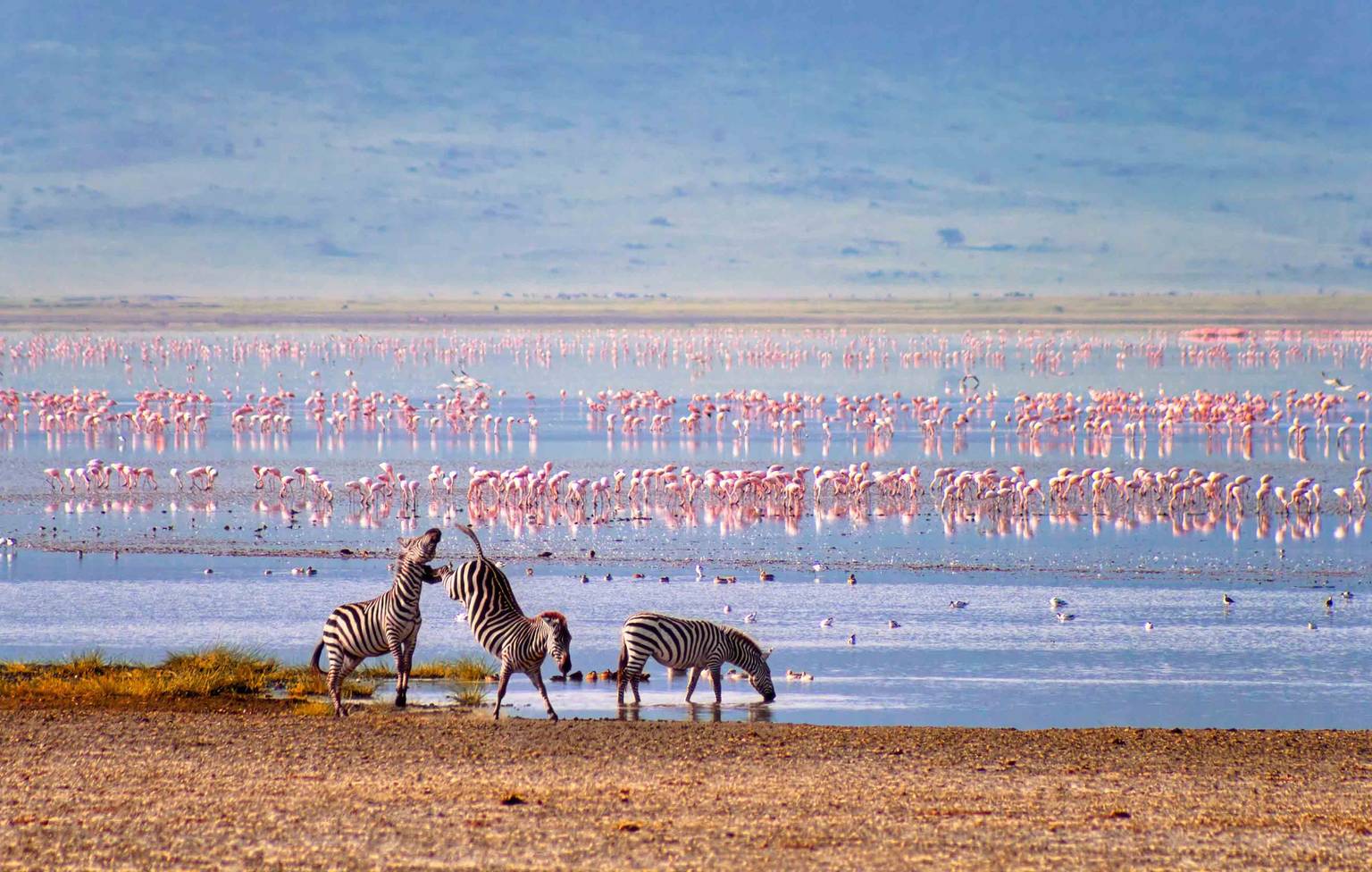 Voyage sur mesure Tanzanie