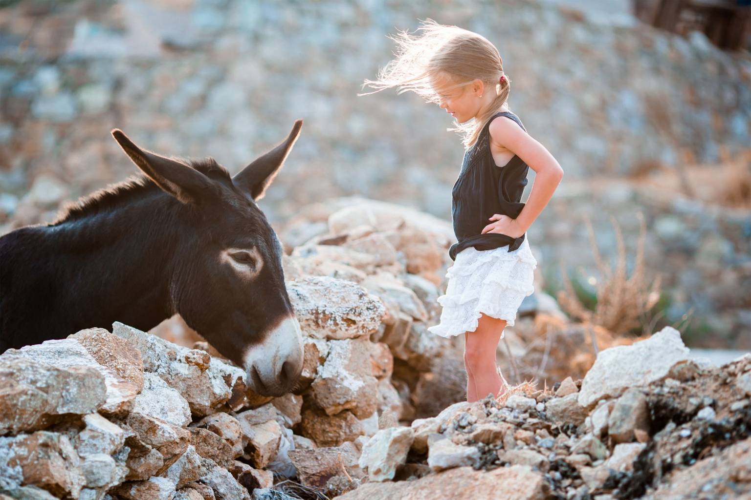 13 expériences à vivre lors d'un voyage en famille