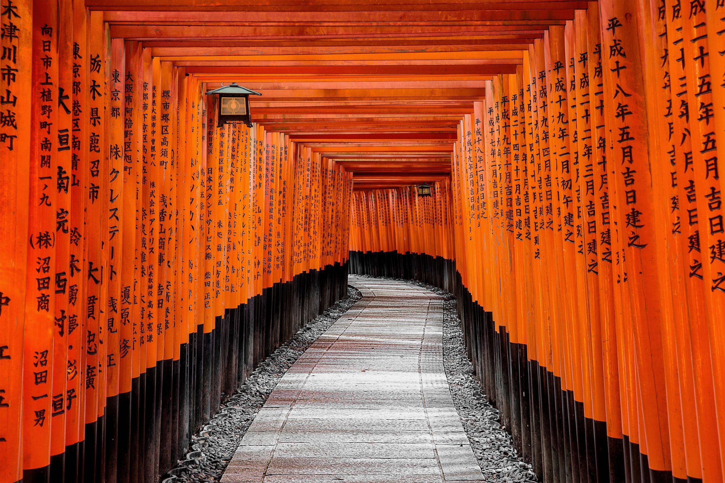 Guide de voyage Japon : que voir, que faire ?