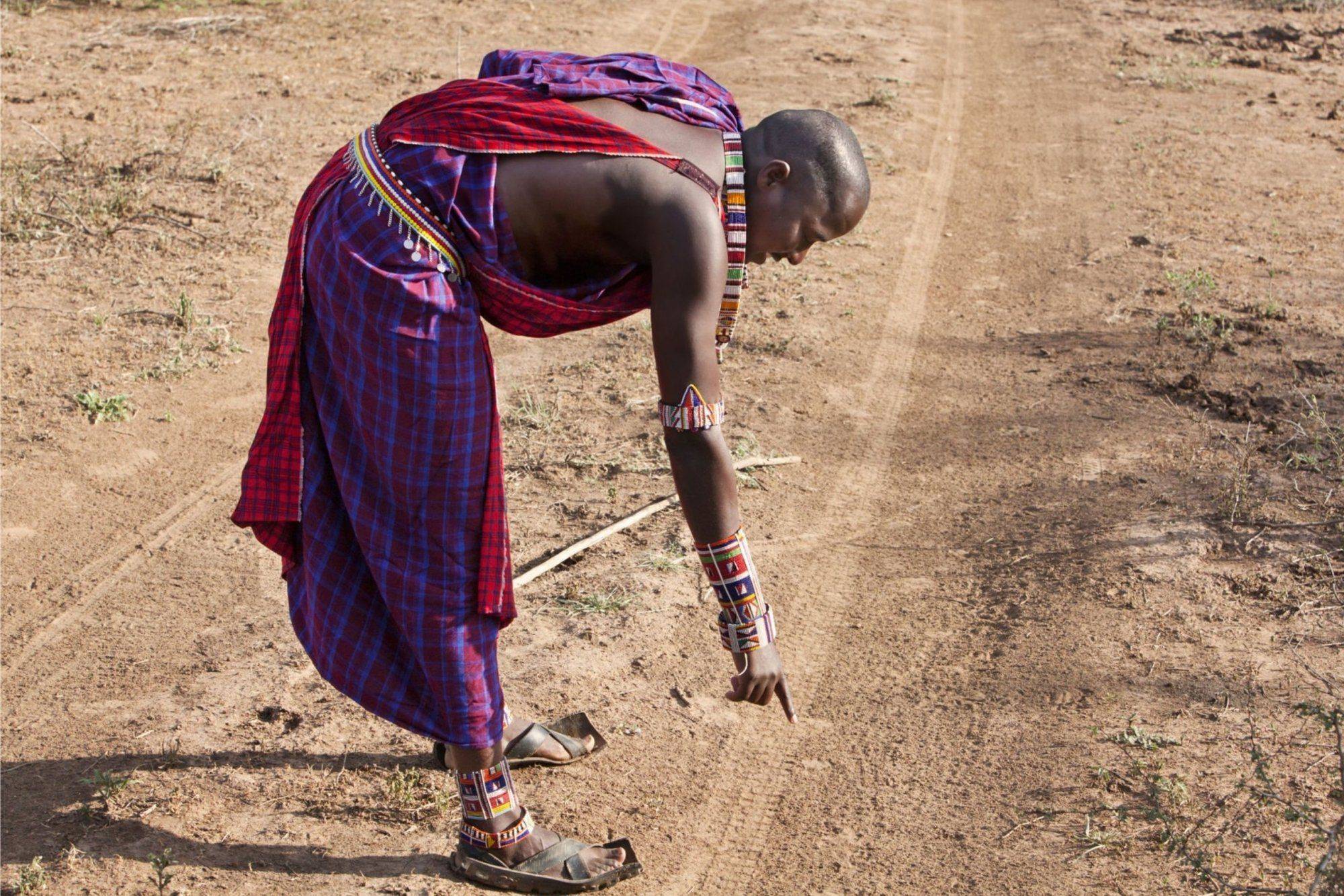 L’excellence du voyage, version circuit accompagné