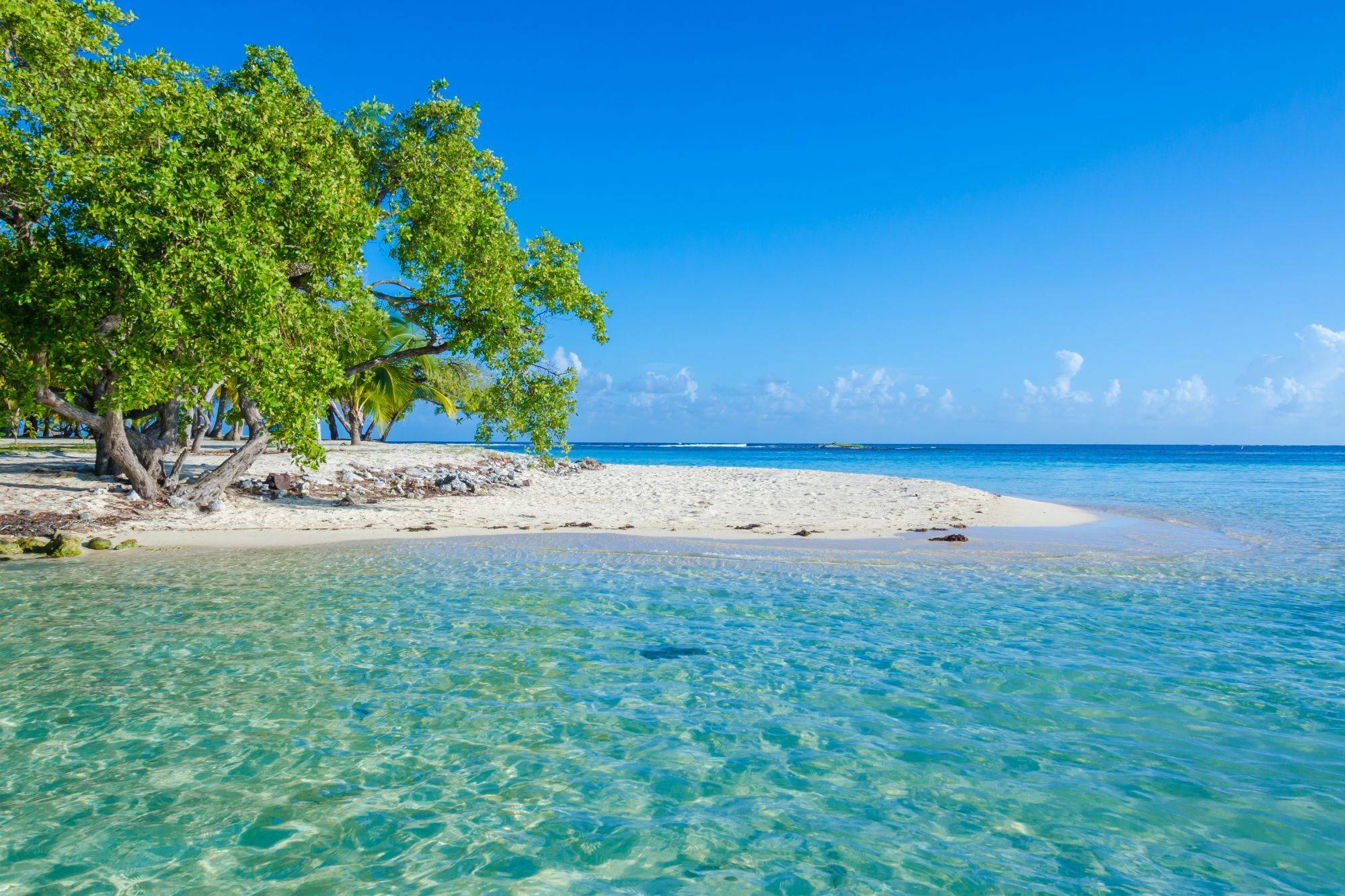 5 bonnes raisons de partir au Belize