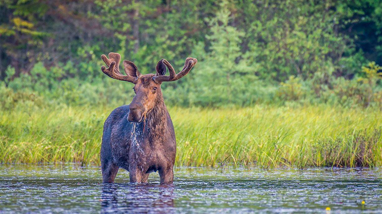 3 bonnes raisons de s'envoler pour l'Ontario