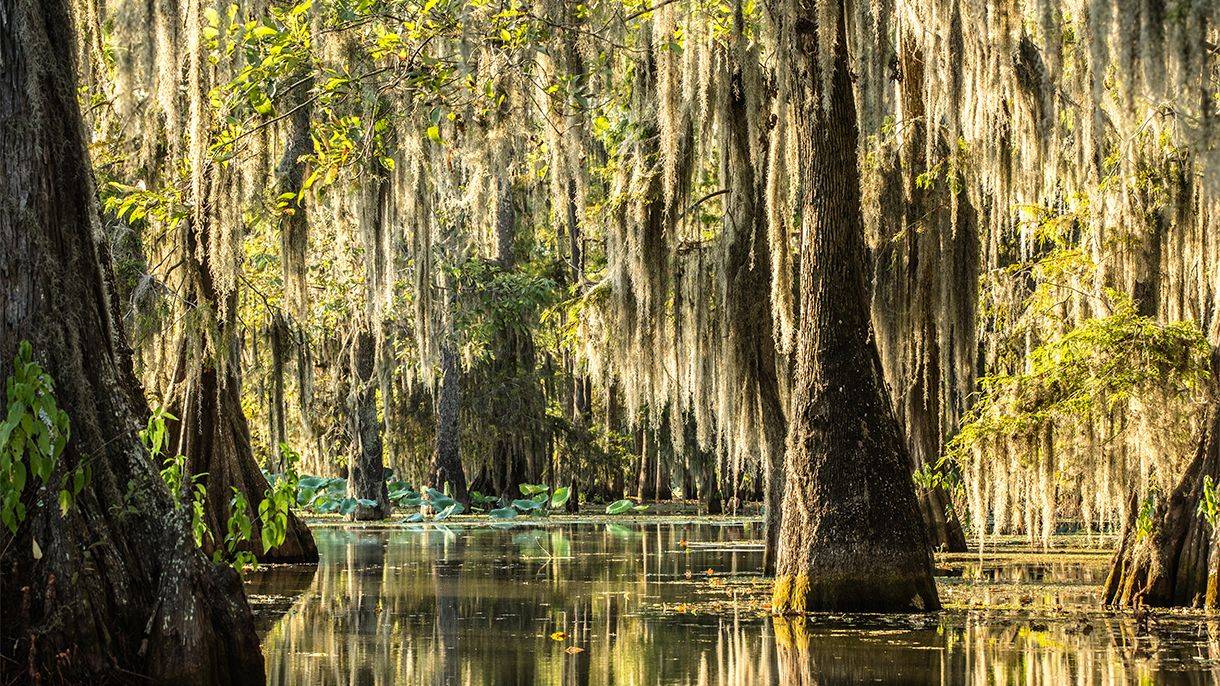 Carnet de voyage dans le Vieux Sud