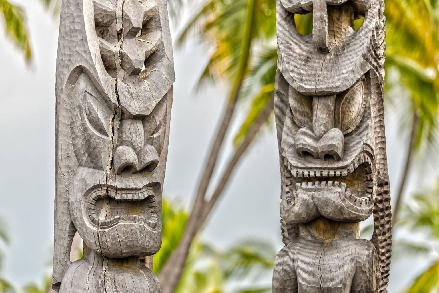 Envolée vers Hawaii