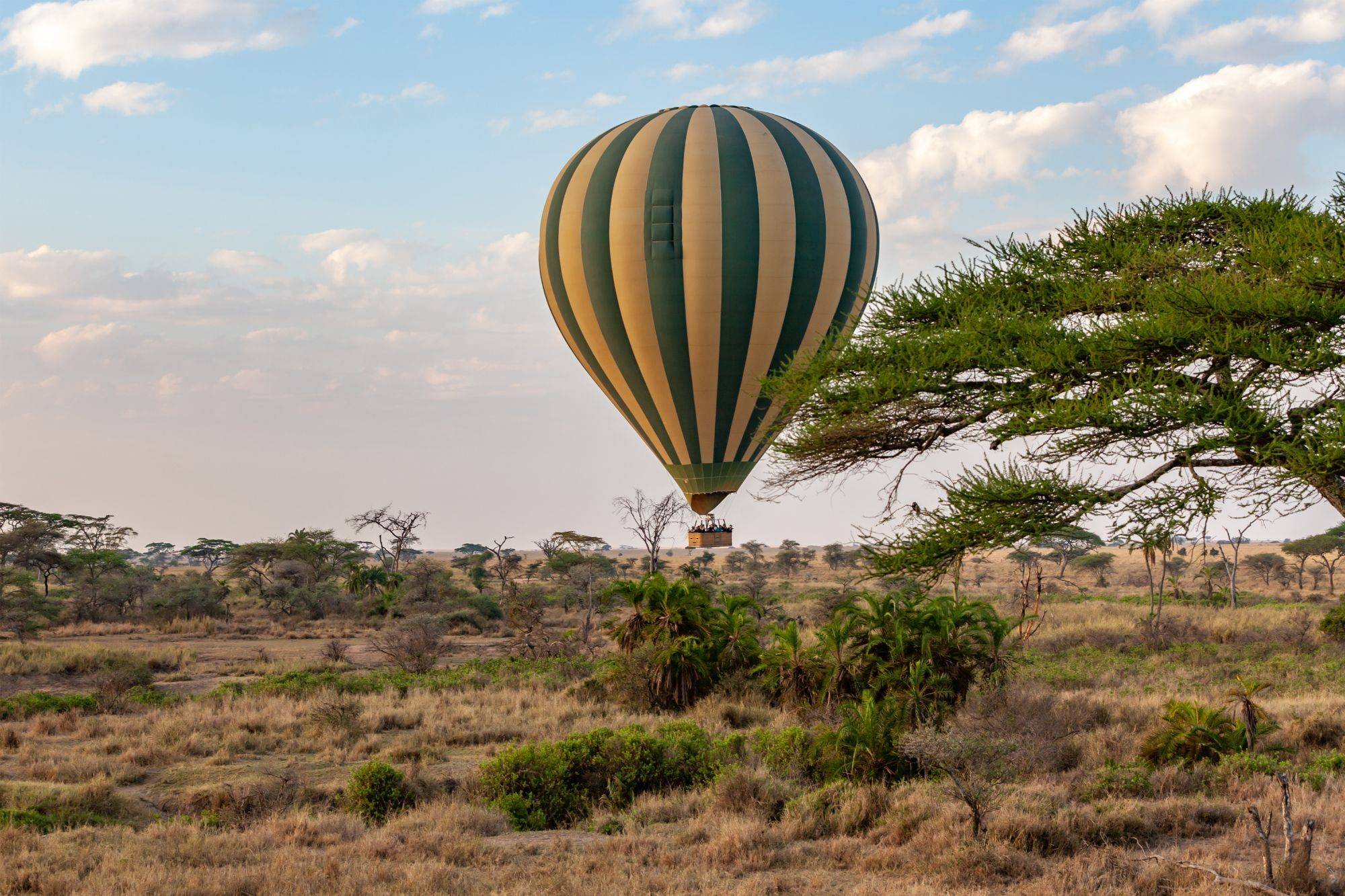 Envolée vers la Tanzanie